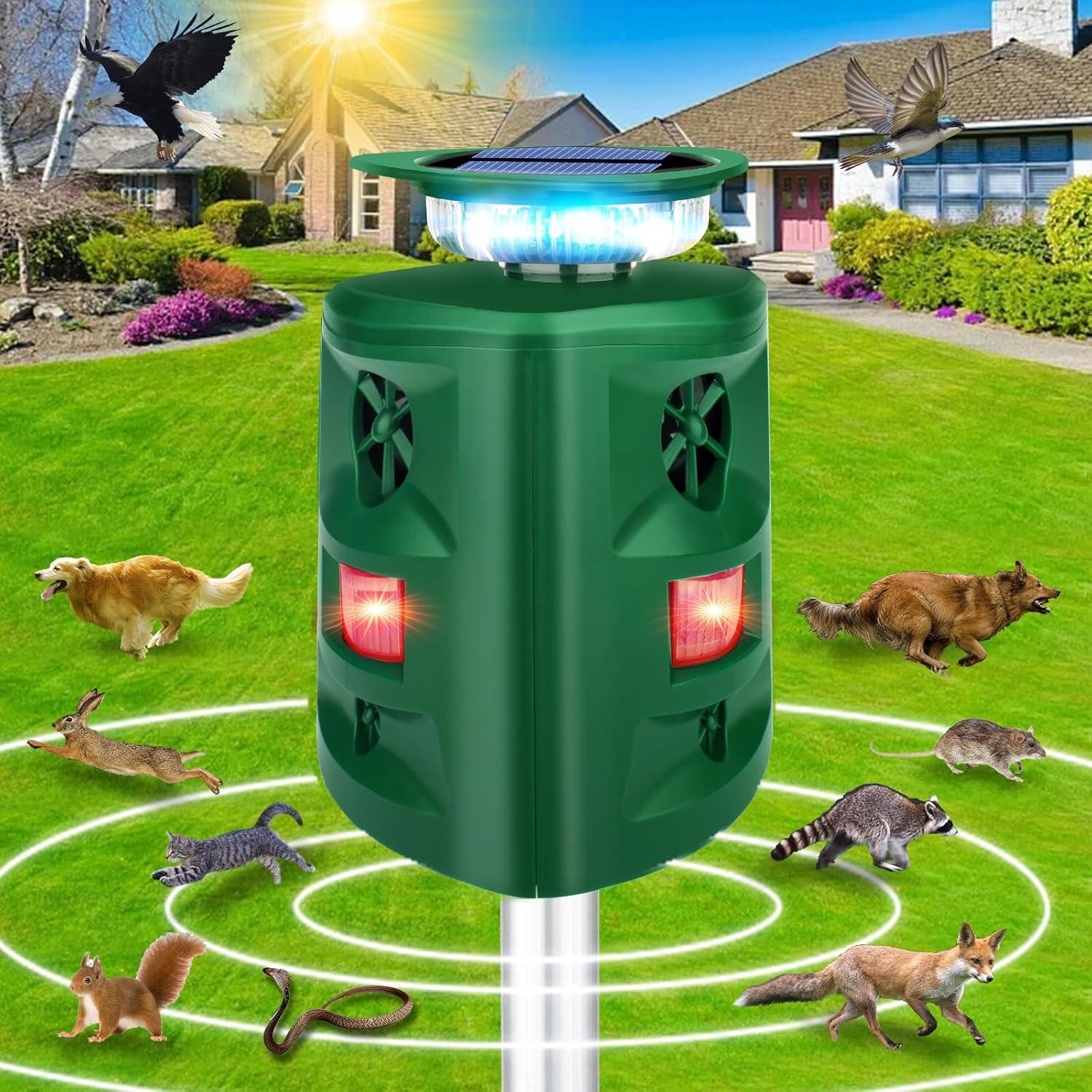 Solar, 360° Motion Flash: Outdoor Animal Deterrent Showdown