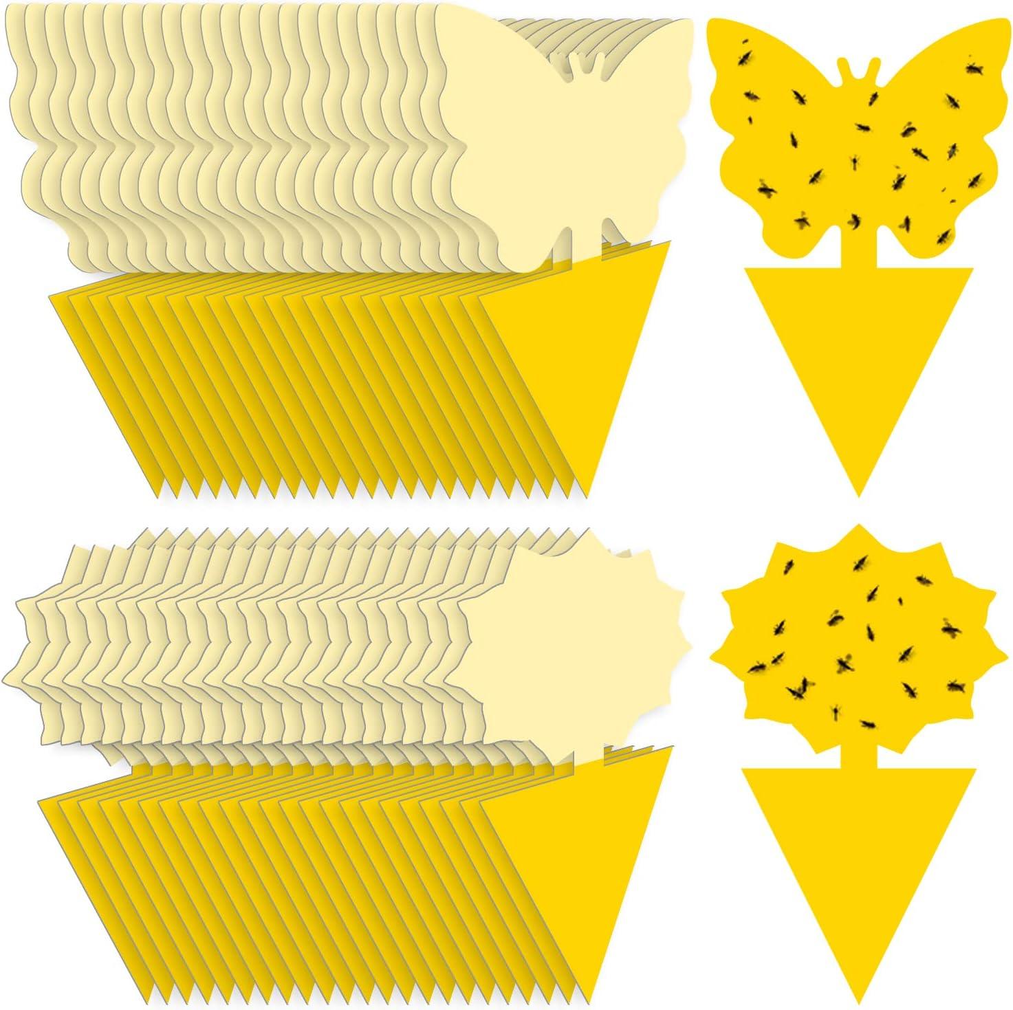 Landisun Fruit Fly Traps Showdown: 48PCS Sticky… Indoor-Outdoor Tested?