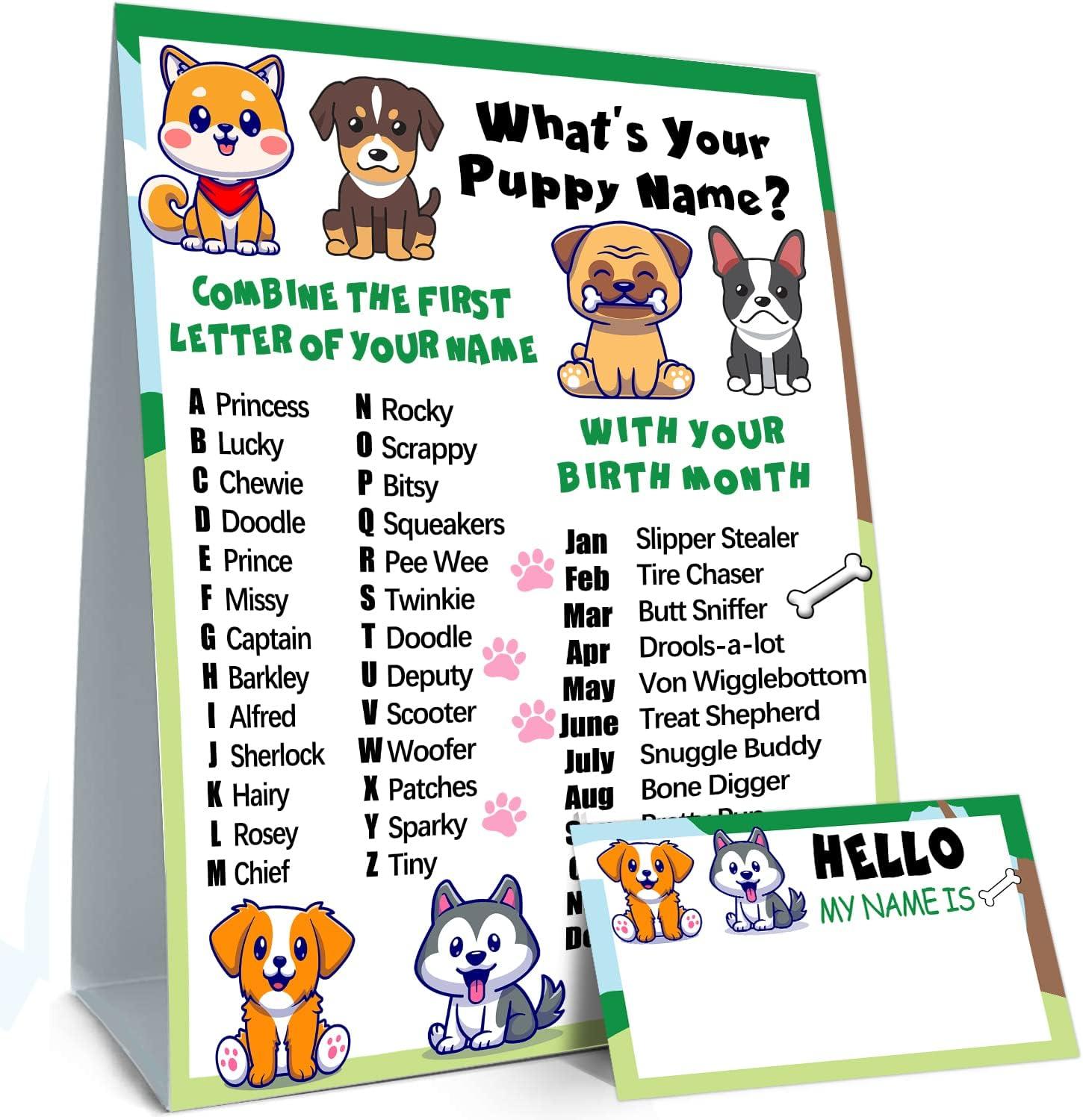 Surprising Insight: Pet Tags & Party Games for All-Age Custom Fun