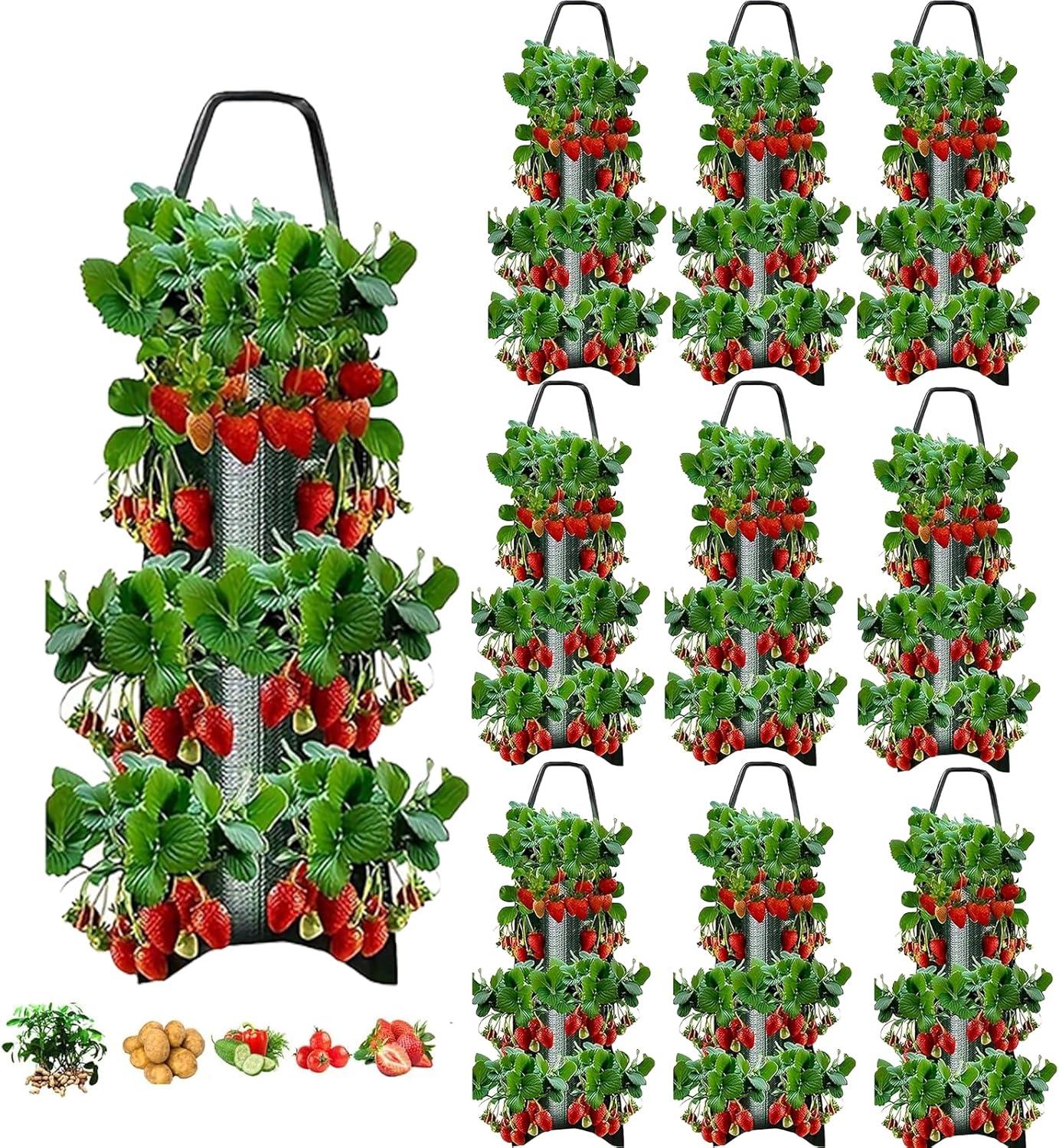 Showdown: Vertical Bags vs. Hoops for Space-Saving Gardening