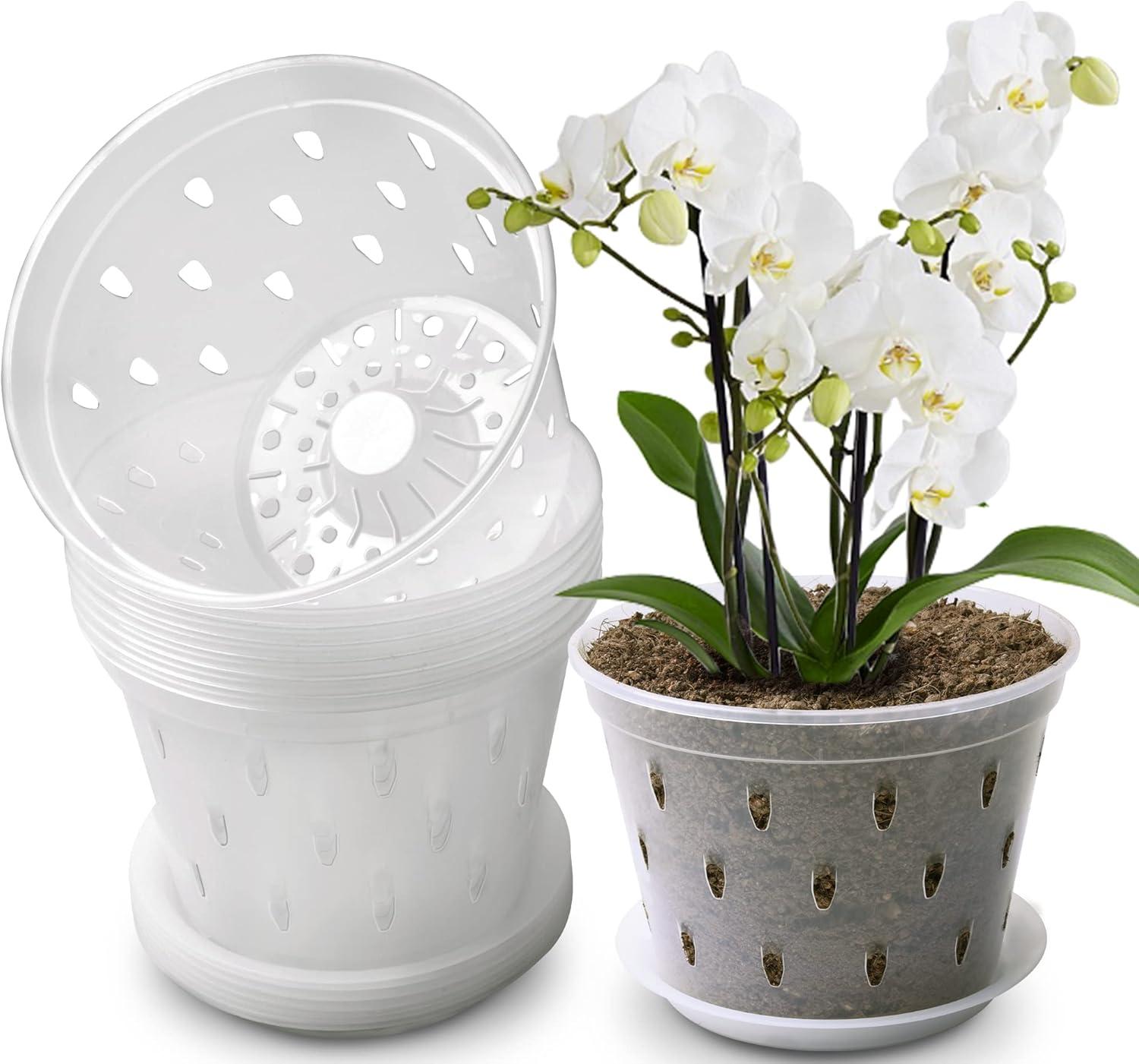 Surprising Root Growth Insight: Orchid Pots with 360° Ventilation for Healthy Drainage (Root Rot? No Way!)