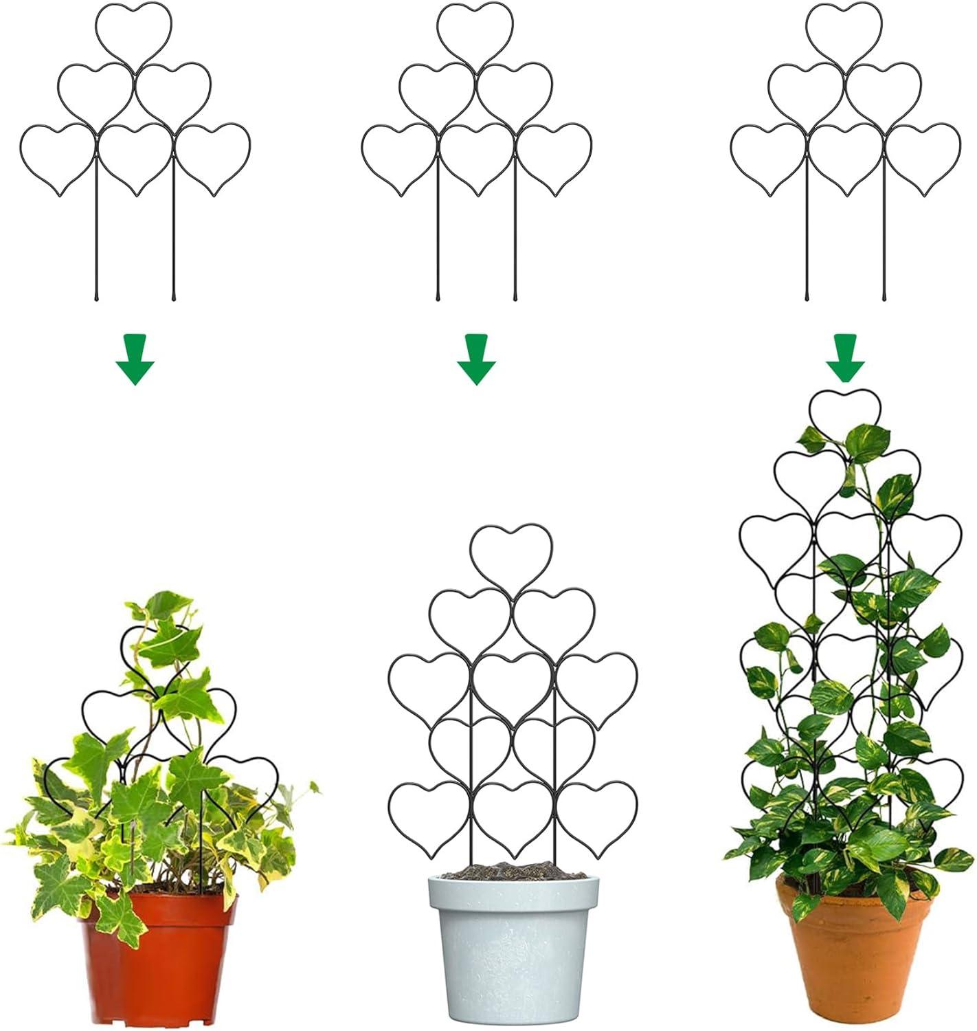 Indoor Versatility, Stackable Structure, Container-Friendly, 3-Pack Metal Trellis: Surprising Showdown