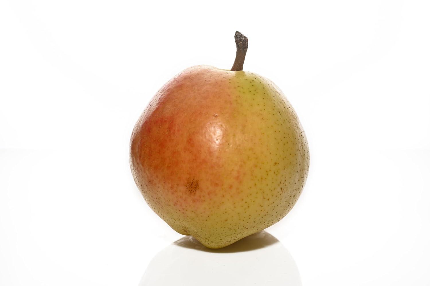 Yupik Dried Pears vs. RawJoy Fresh Pears: No Sugar Added vs. 100% Fresh - Baking Bites or Snack Gold?