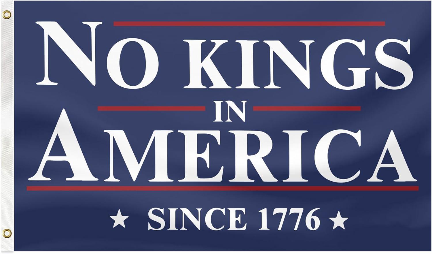 3x5ft Anti-47 Flag Vs. Generic Yard Deco: Tested for Wind-Resistant Display