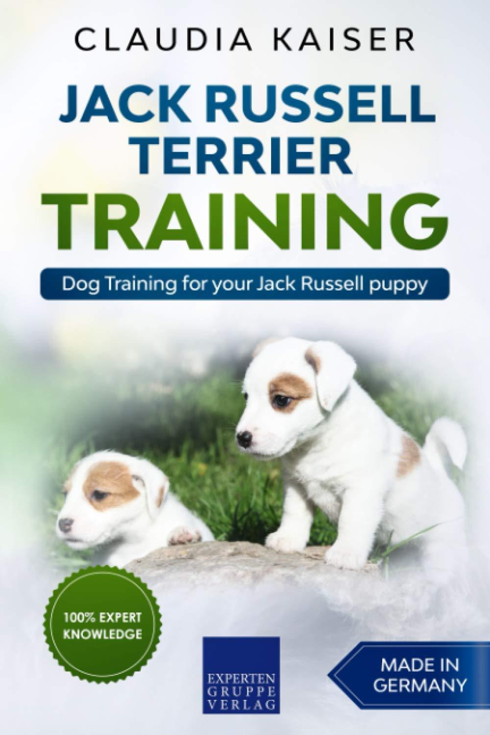 Jack Russell Training Showdown: Surprising Insights for Value-Savvy Buyers