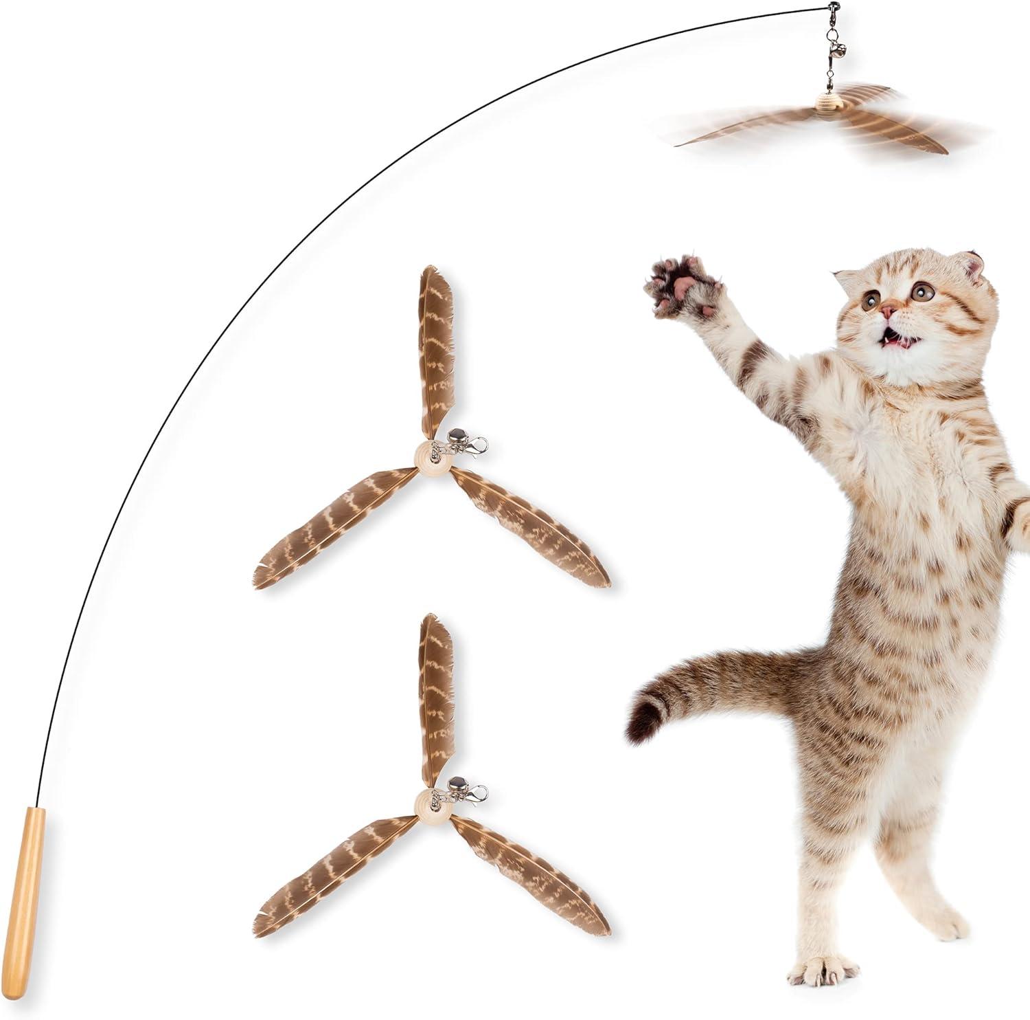 Surprising Cat Toy Test: Rechargeable vs. Manual for Indoor Play