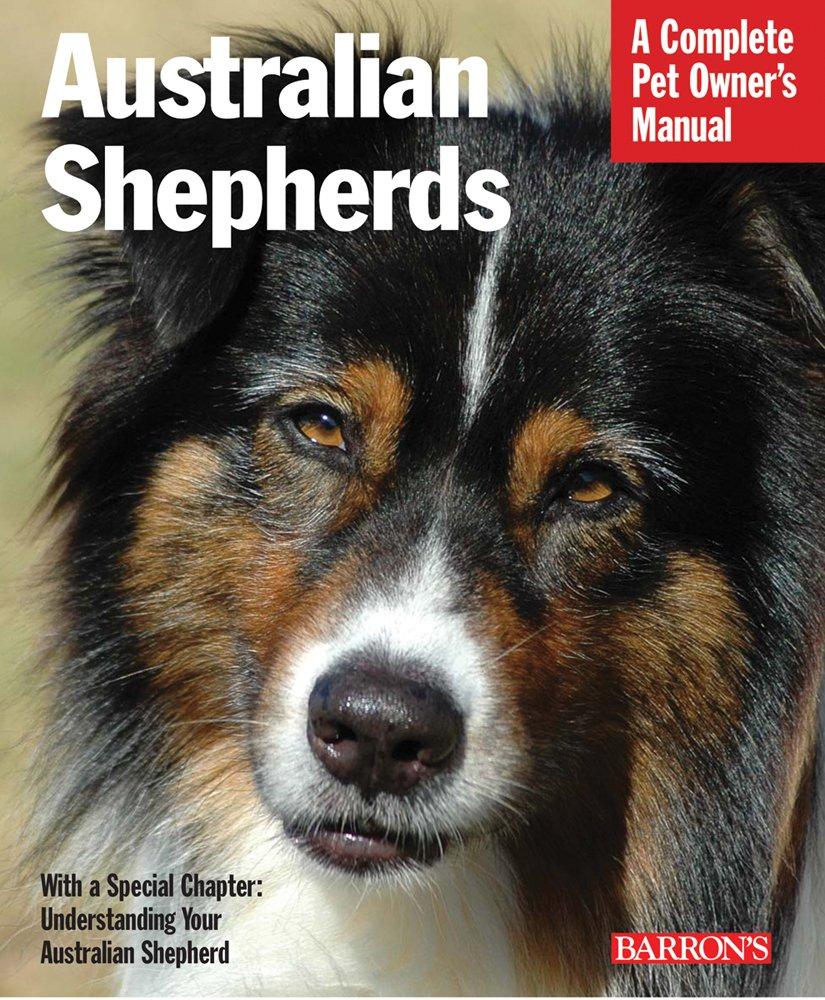 Tested Dog Training for Goldens: Surprising Monthly Insights