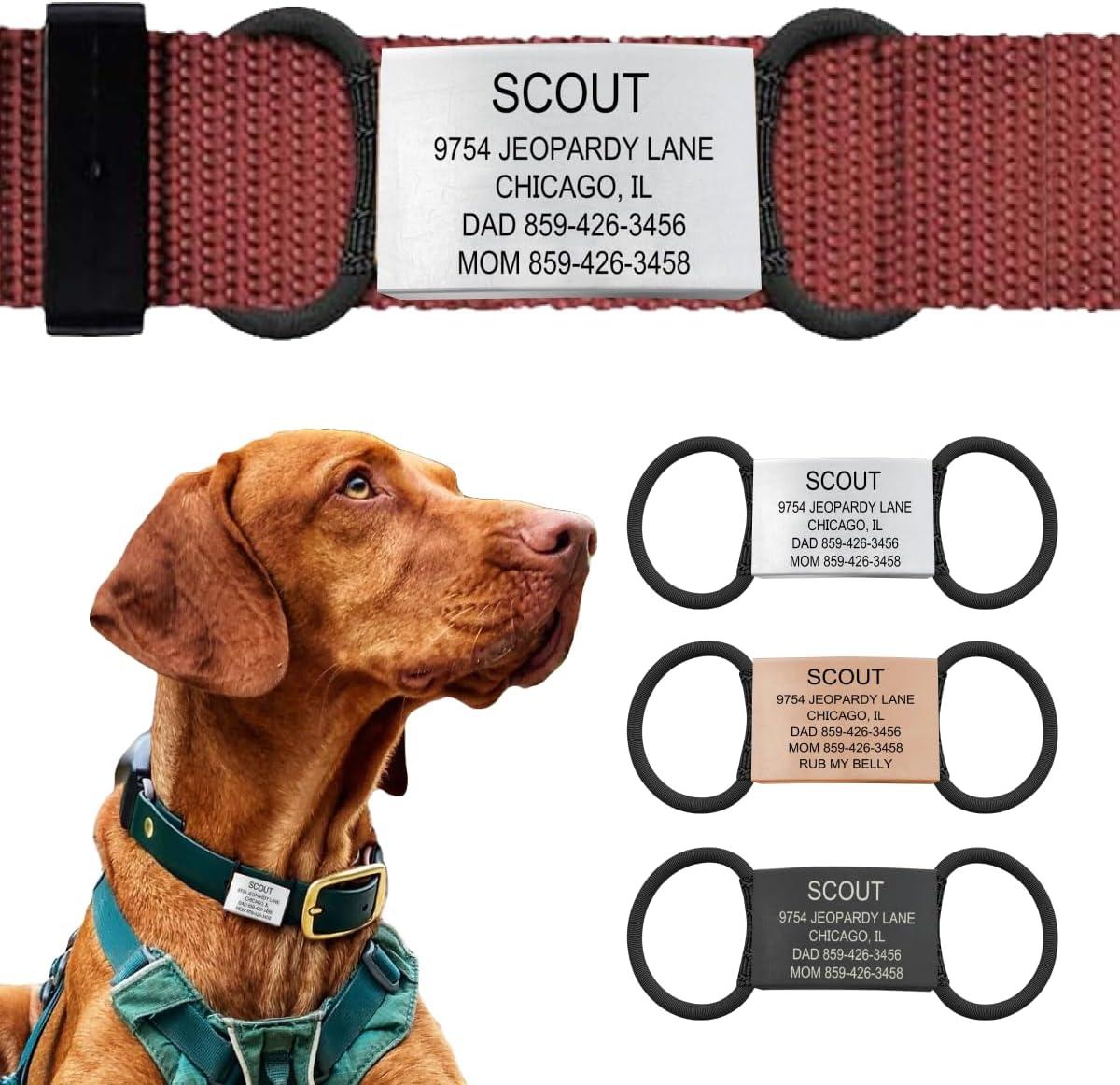 Best Silent Dog Tag - ROAD iD Review