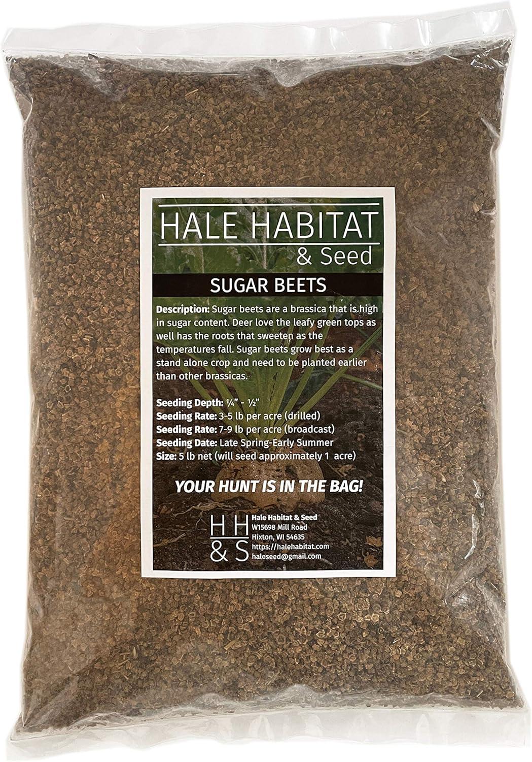 Best Sugar Beet Food Plot Seed - Hale Habitat Review