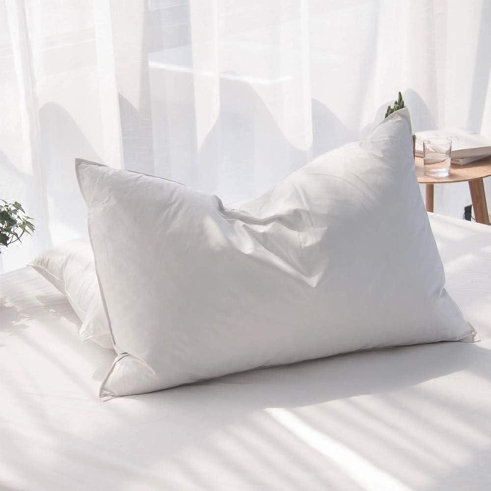 Best Down Pillow - Luxury Feathers Down Queen Size Pillow Set for Hotel Quality Sleep Review