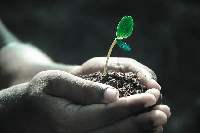 What’s the best app for plant care? Helps even busy people