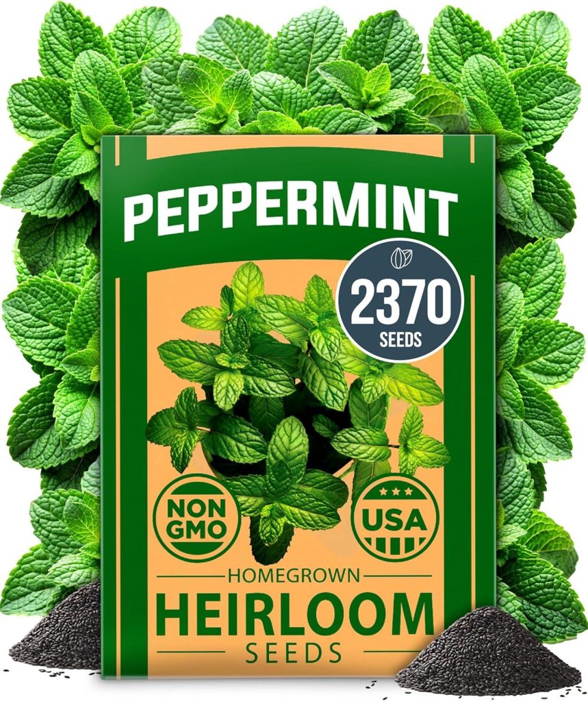 Best Herb Seeds – HOME GROWN Non GMO Peppermint Seeds Pack Review