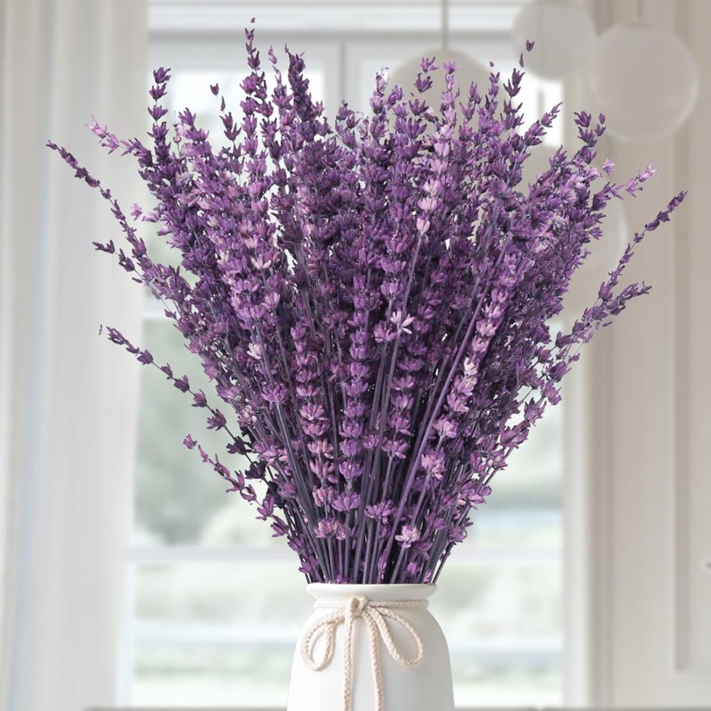 Best Home Decor – Dried Purple Lavender Flowers Bundle Review