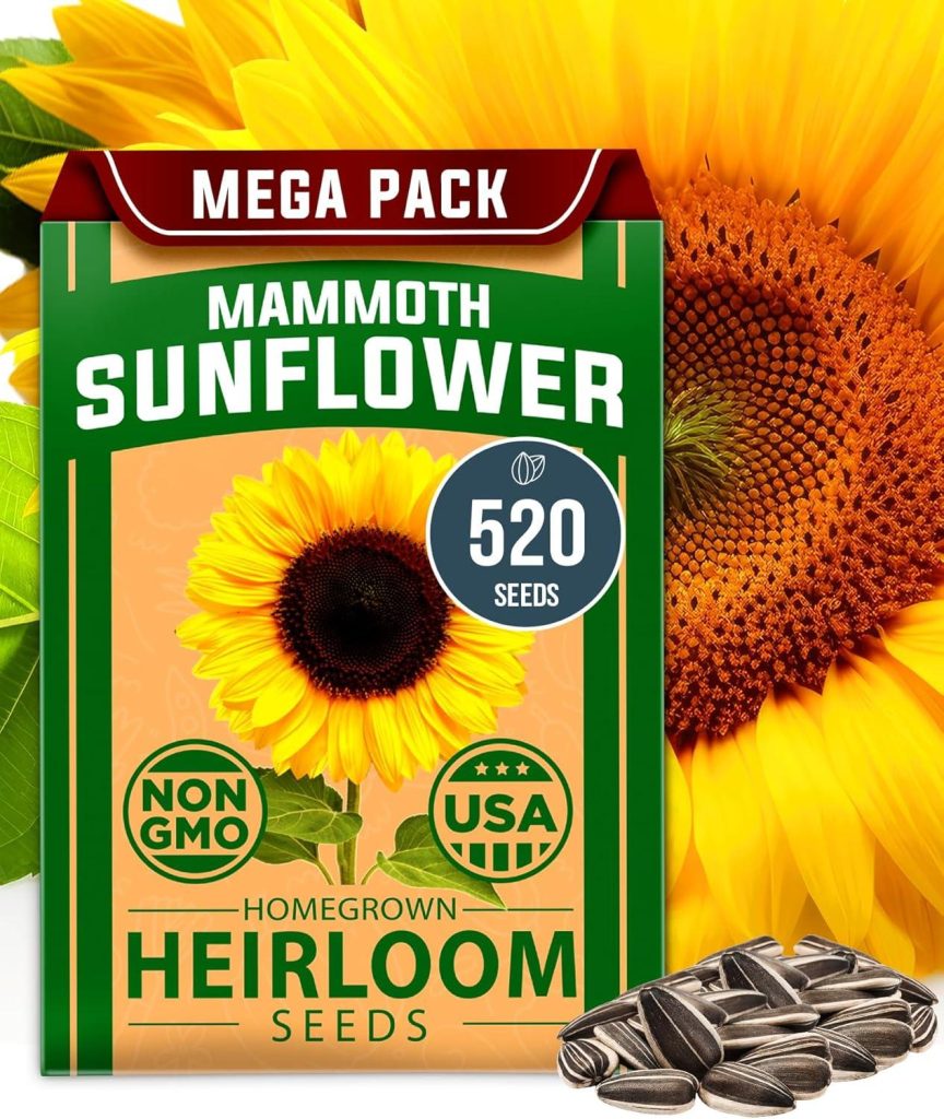 Best Garden Seeds – HOME GROWN Sunflower Seeds to Plant | 520+ Giant Mammoth Sunflower Seeds for Planting Bulk Packet Review
