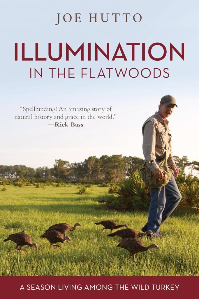 Best Nature Writing – Illumination in the Flatwoods: A Season Review