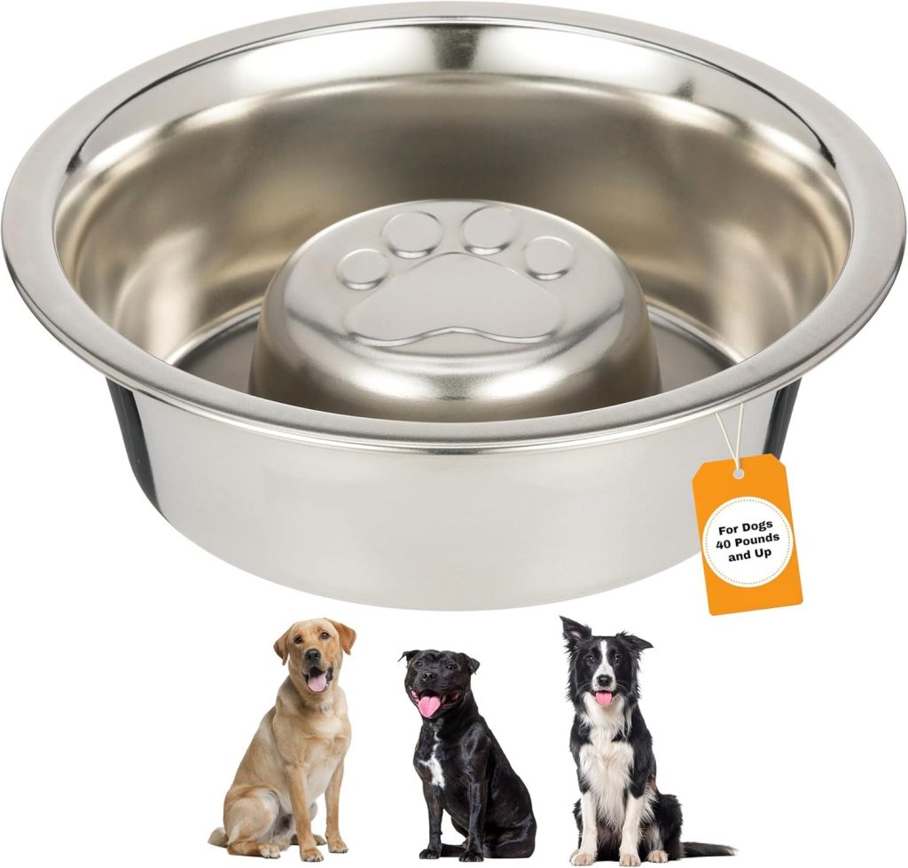 Best Slow Feeder Dog Bowl – Neater Pet Brands Review
