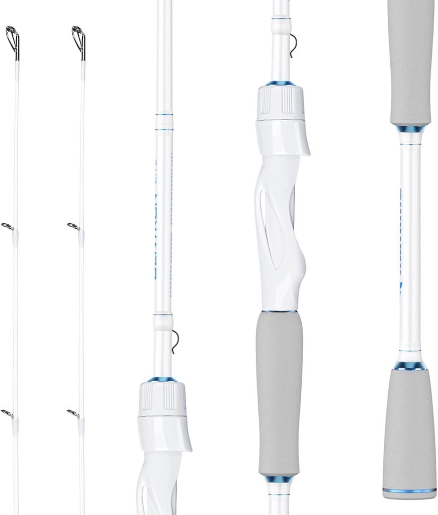 Best Fishing Rod – KastKing Centron Lite Twin Tip Rods Review