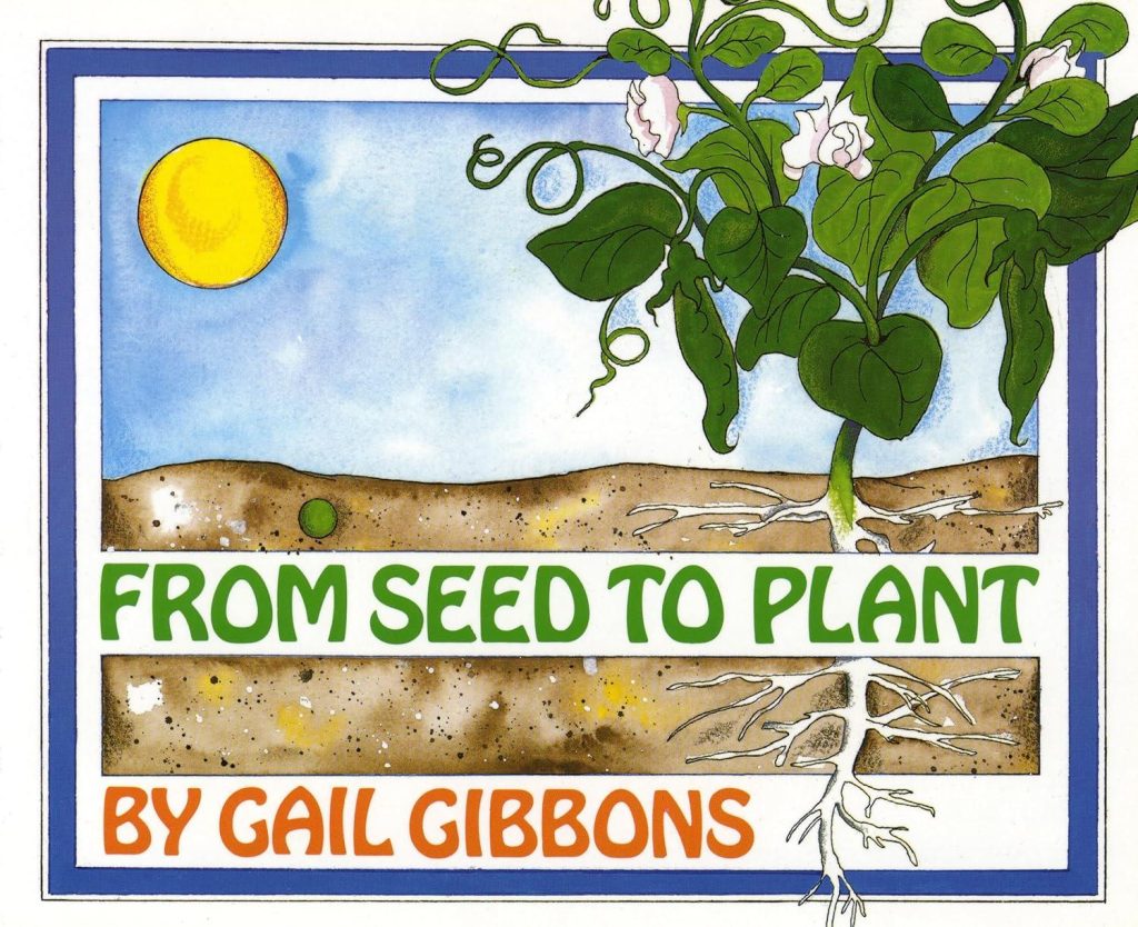 Best Children’s Book – From Seed to Plant Review