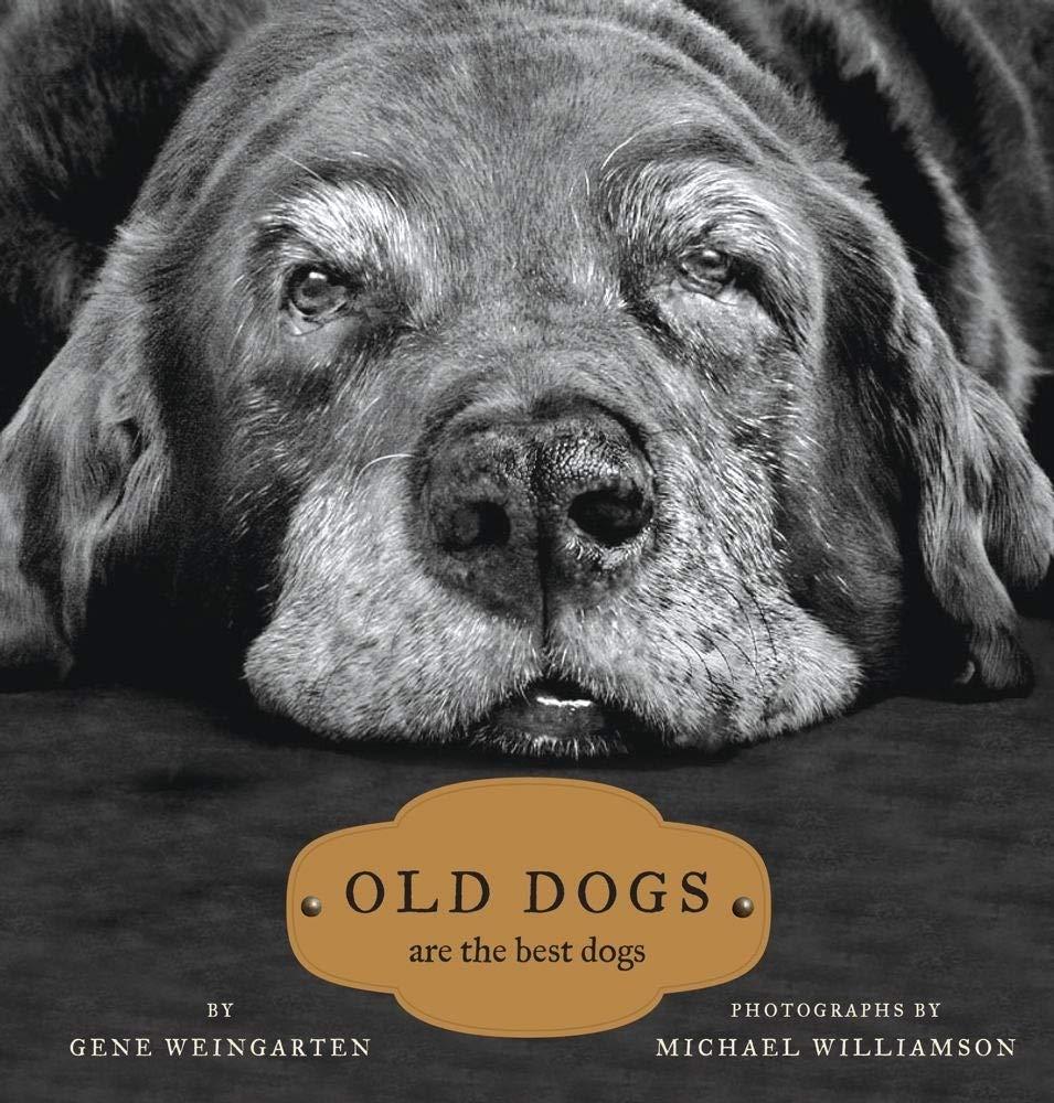 Best Dog Book – Old Dogs: Are the Best Dogs Review
