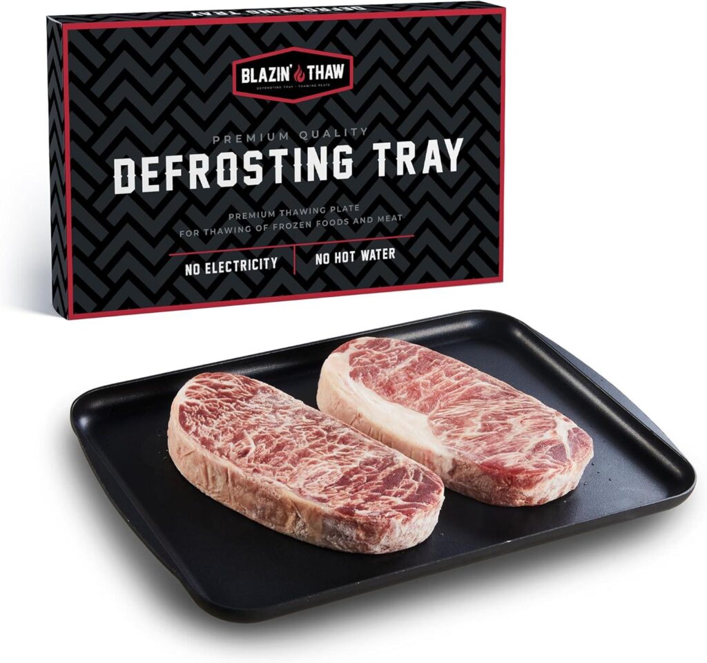 Best Kitchen Gadget – BLAZIN’ THAW Defrosting Tray | Review