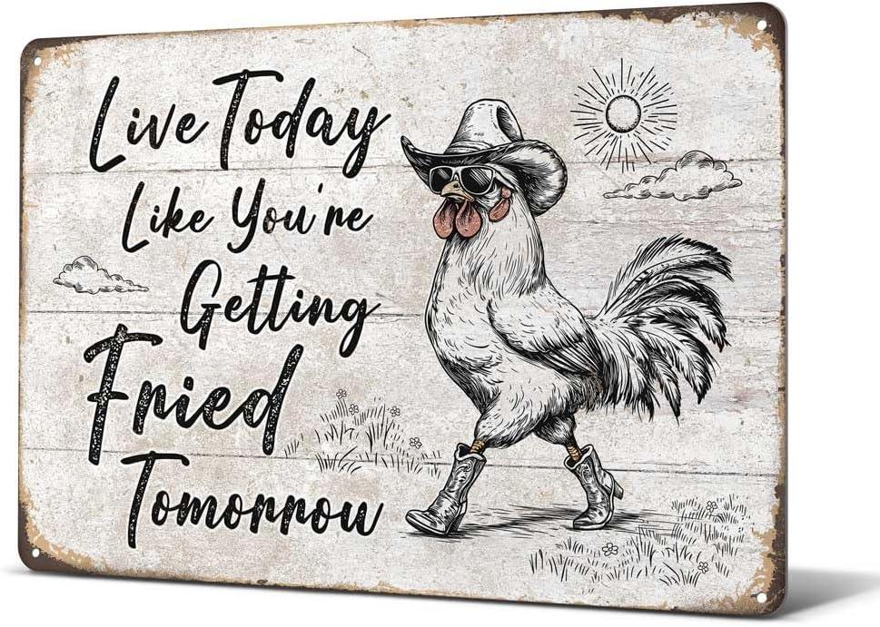 Best Chicken Decor – Heuhuww Funny Chicken Sign Review