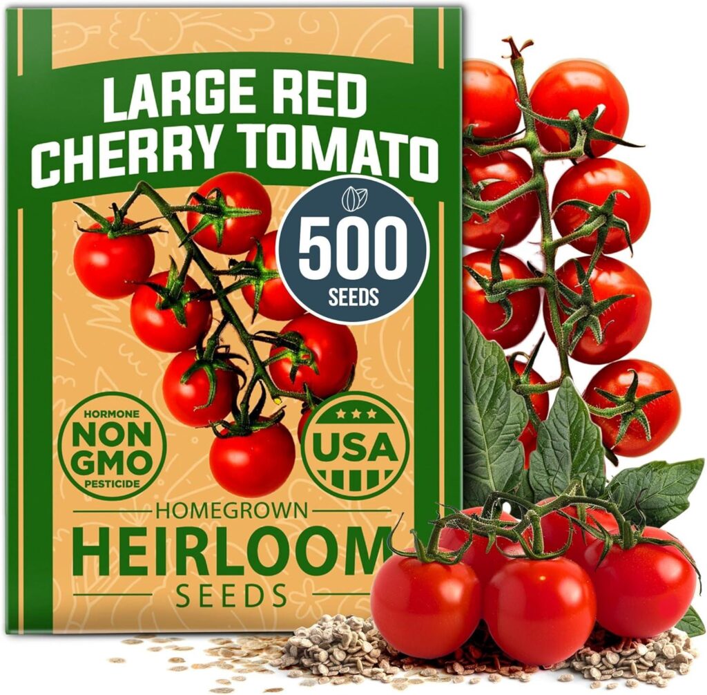 Best Vegetable Seeds – HOME GROWN Large Red Cherry Tomato Seeds Review
