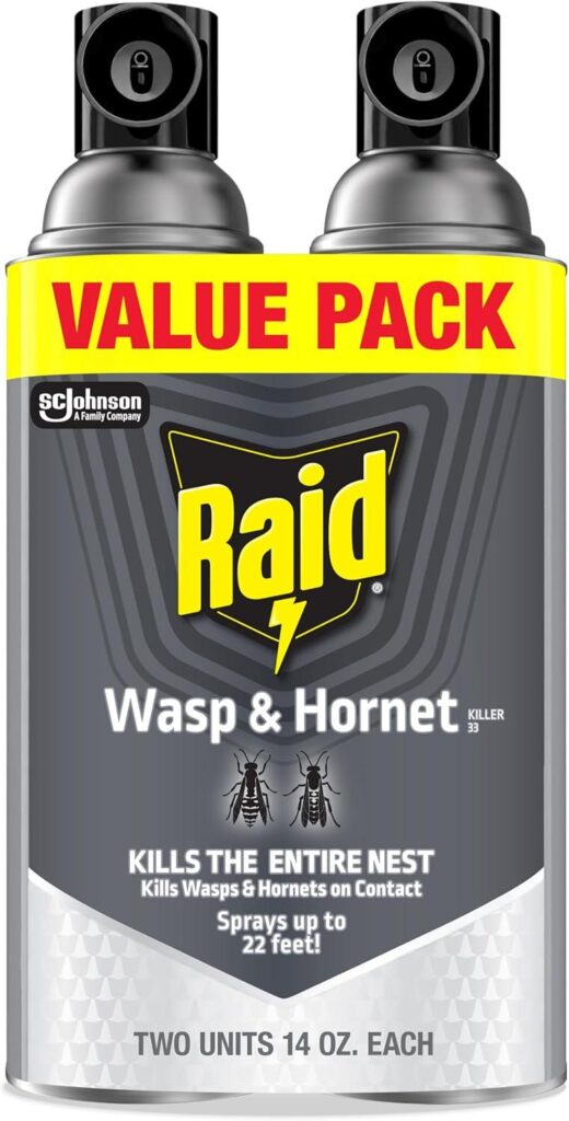 Best Pest Control – Raid Wasp & Hornet Killer Spray Review