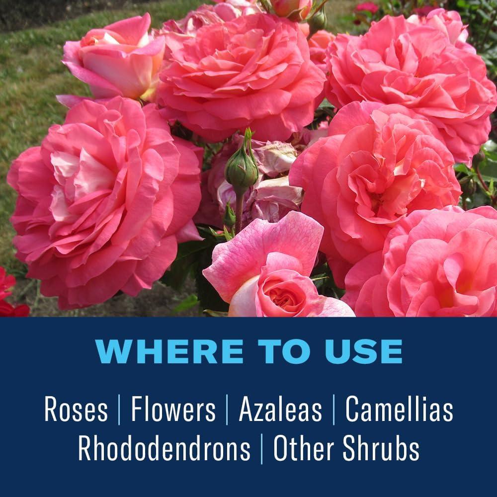 Best Flower Care – BioAdvanced All-In-One Rose Fertilizer Review