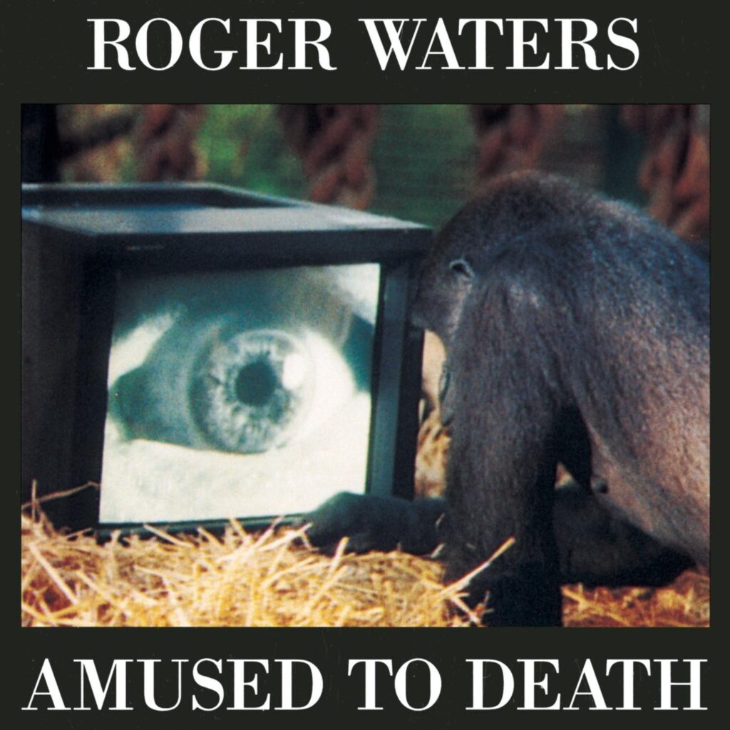 Best Music Album – Amused To Death Review