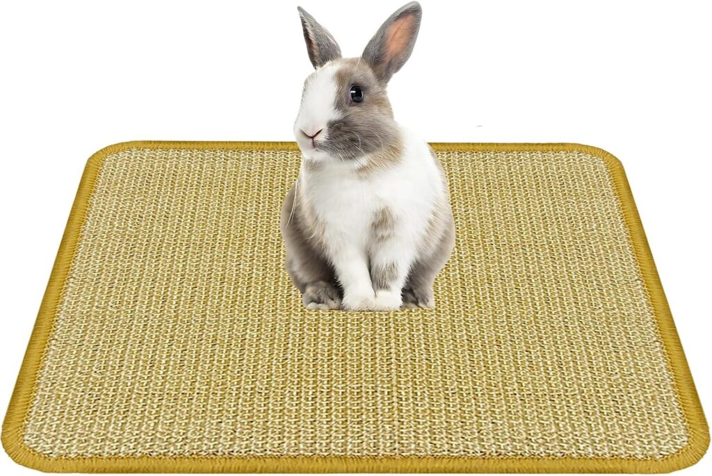 Best Pet Accessory – DYAUS Bunny Scratch Pad, Natural Sisal Rabbit Scratching Mat for Claws Review