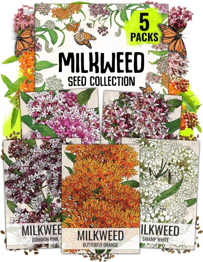 Best Garden Seeds – Seed Needs Milkweed Seeds for Butterfly Garden Review