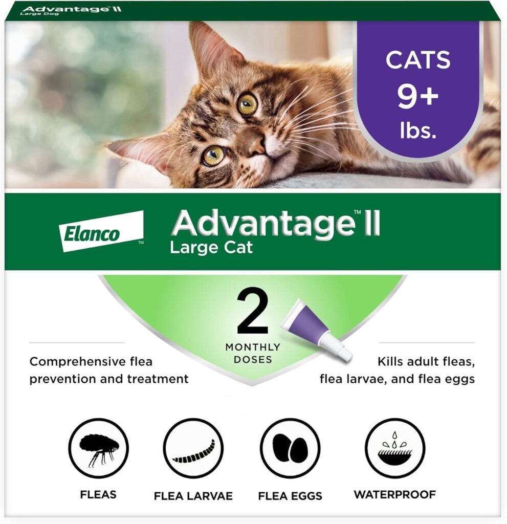 Best Flea Treatment – Advantage II Large Cat Vet-Recommended Review