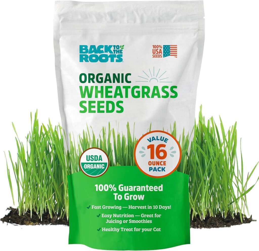 Best Plant Seeds – Back to The Roots Organic Wheatgrass Review