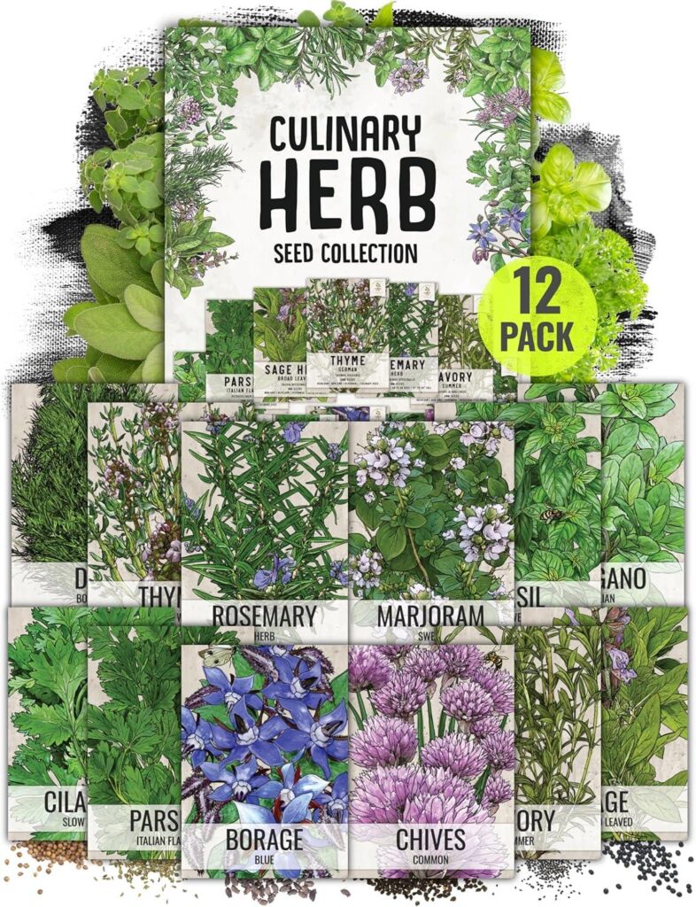 Best Herb Seeds – Seed Needs Herb Seeds Variety Pack Review