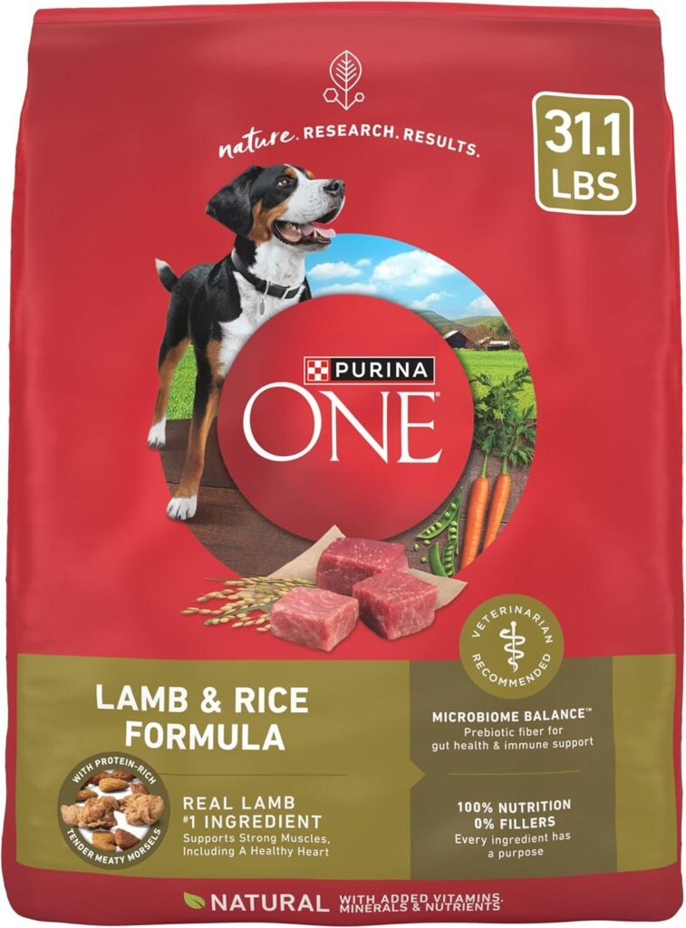 Best Premium Dry Dog Food – Purina ONE Lamb and Rice Formula Review