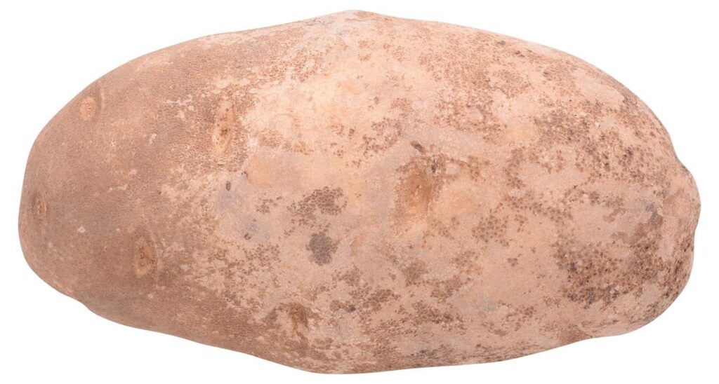 Best Fresh Produce – Russet Potato, 1 Each Review