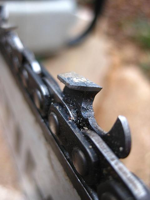 Best Knife Sharpener – Work Sharp Guided Review