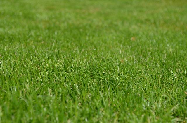 The Best Zero Turn Mowers for a Faster, Easier Cut – Perfect for Smaller Yards