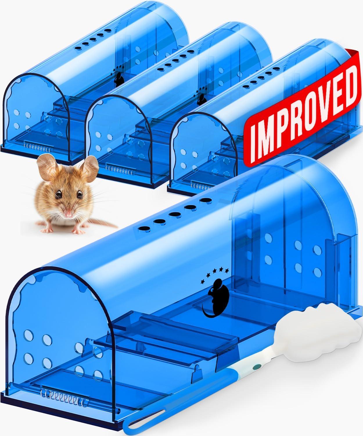 Bait Stations Versus Live Traps: A Surprising Choice Insight