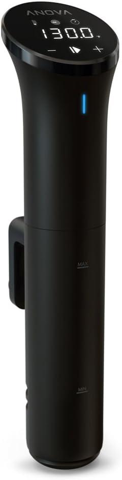 Anova NanoPrecision Tested: Surprising Sous Vide Results