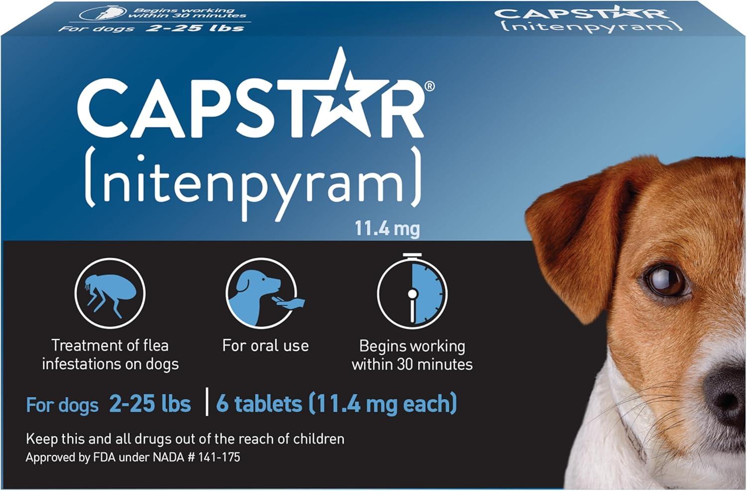Surprising Comparison: Flea Prevention Showdown...Pet Prep!