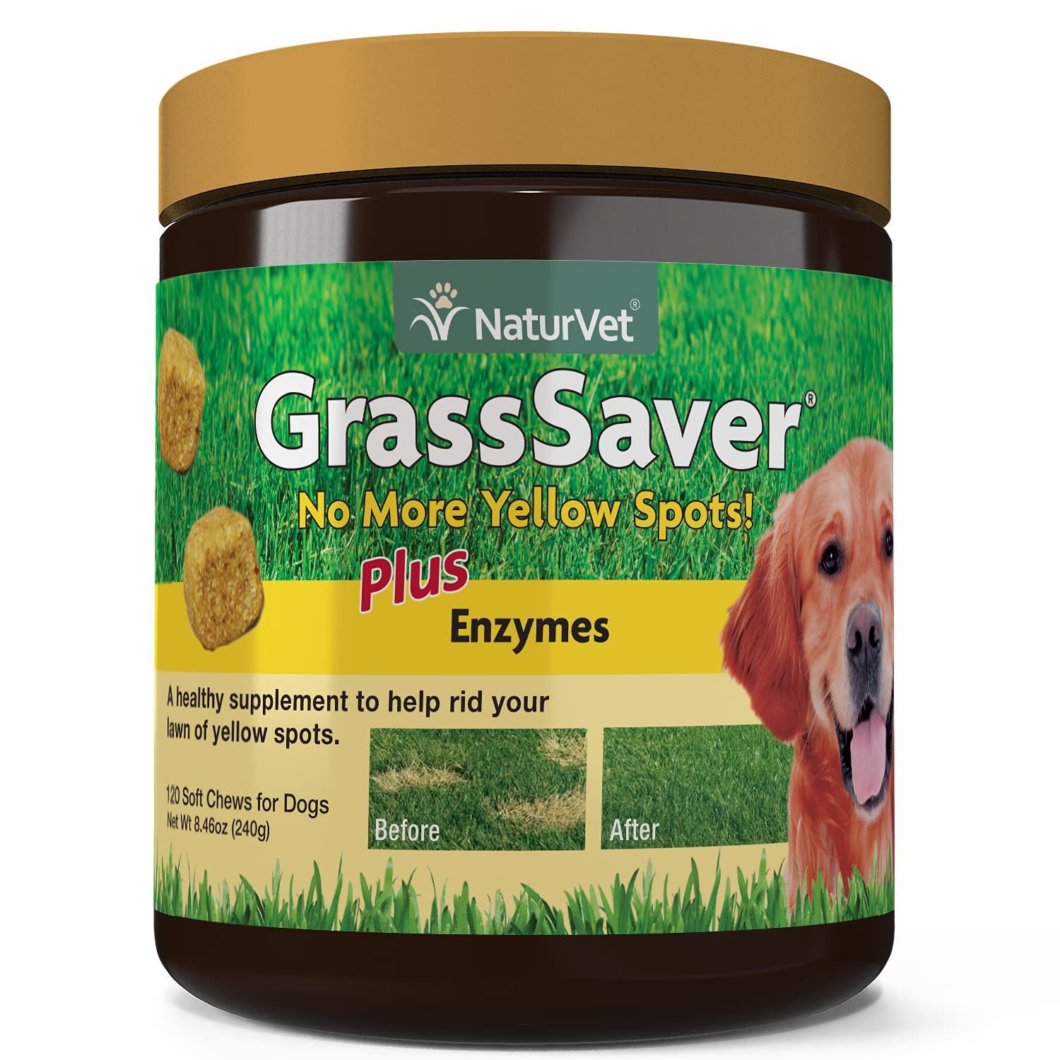 NaturVet GrassSaver vs. Lawn Care: Tested B-Vitamins Rid Spots… Surprise!