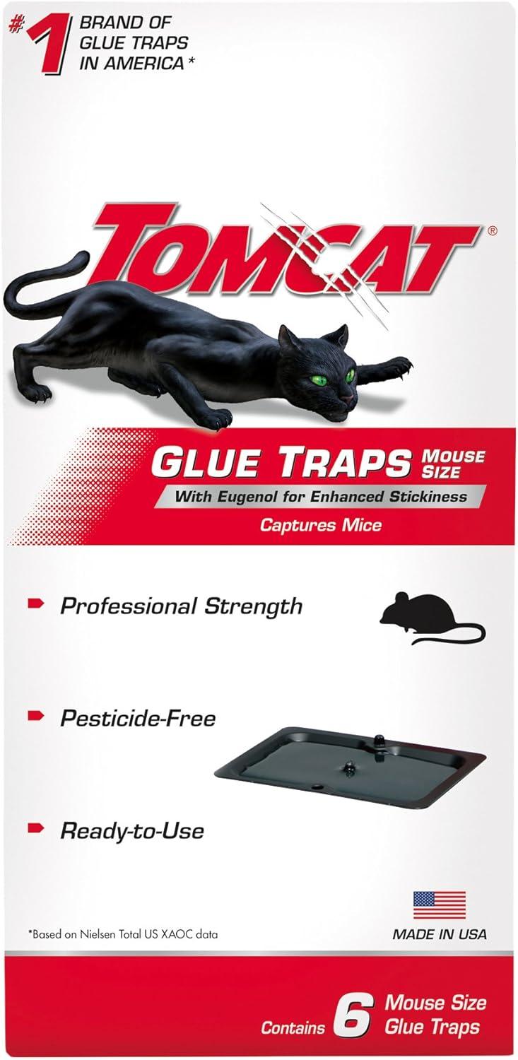 Tomcat Glue Traps vs. Standard Pest Control: Eugenol Stickiness Tested for Home Use
