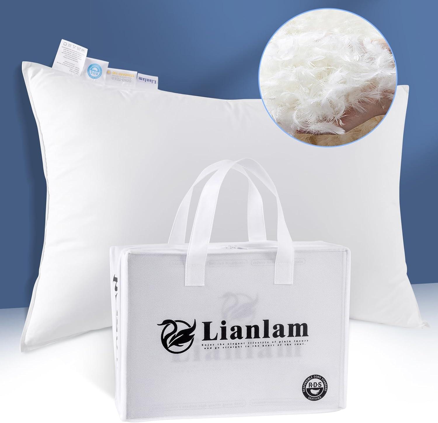 Surprising Pillow Showdown: 900 Fill Power vs. 800 Thread Count (Neck Relief, Tested?)