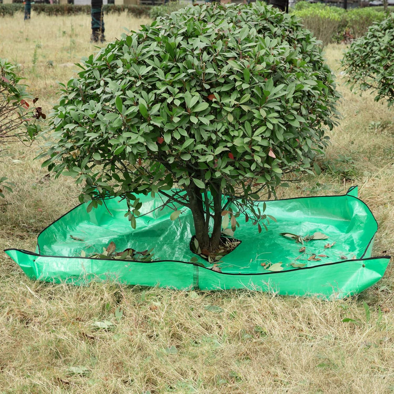 Moonoom Landscape Tarp vs. Bush Trimming Tarp: 12-Inch Hole vs. Four Buckles (Leaf Collection Benefit)
