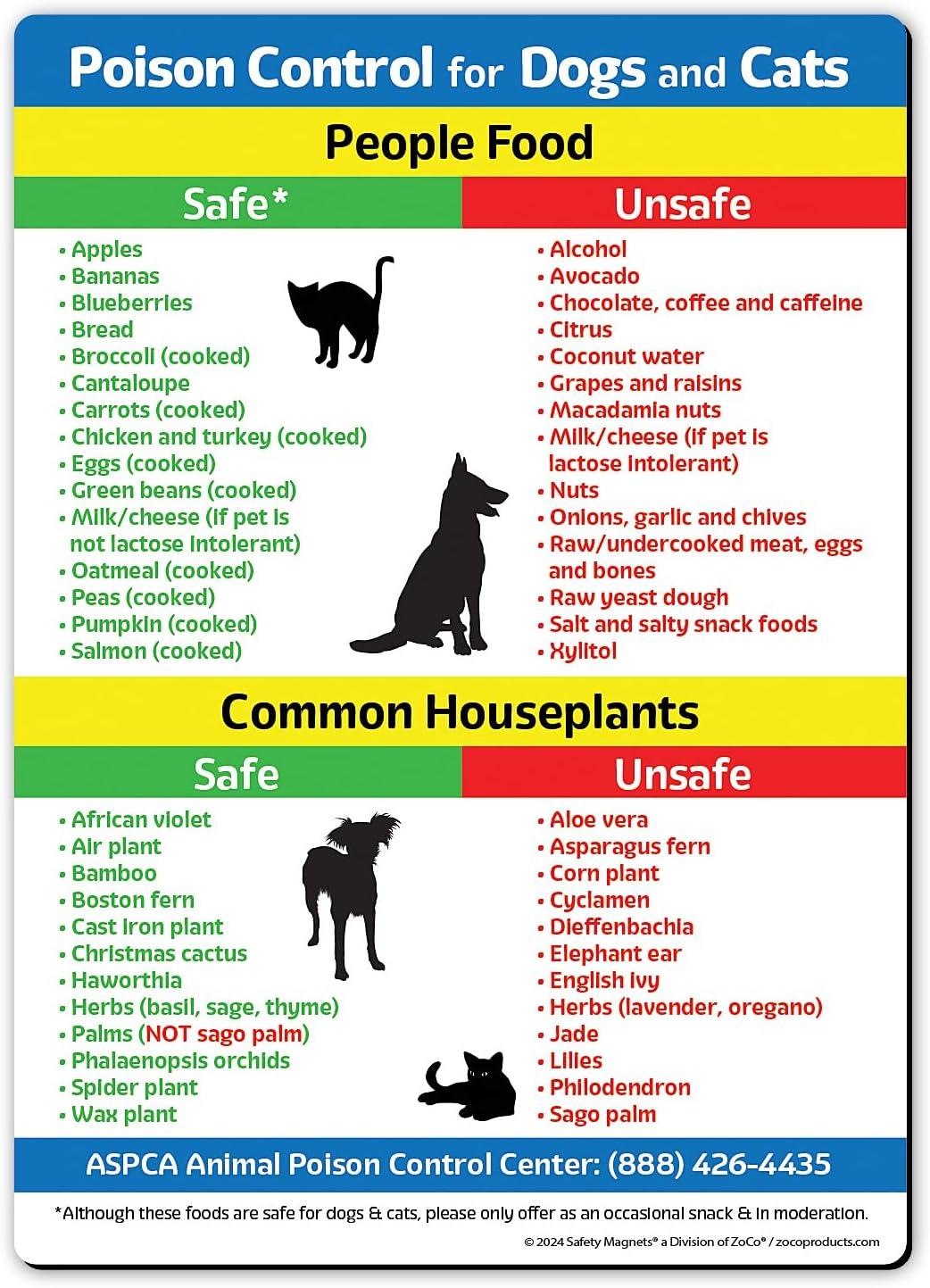 Surprising Safe & Toxic Fridge Magnet 5x7" Tested by Safety Magnets for Pet Health