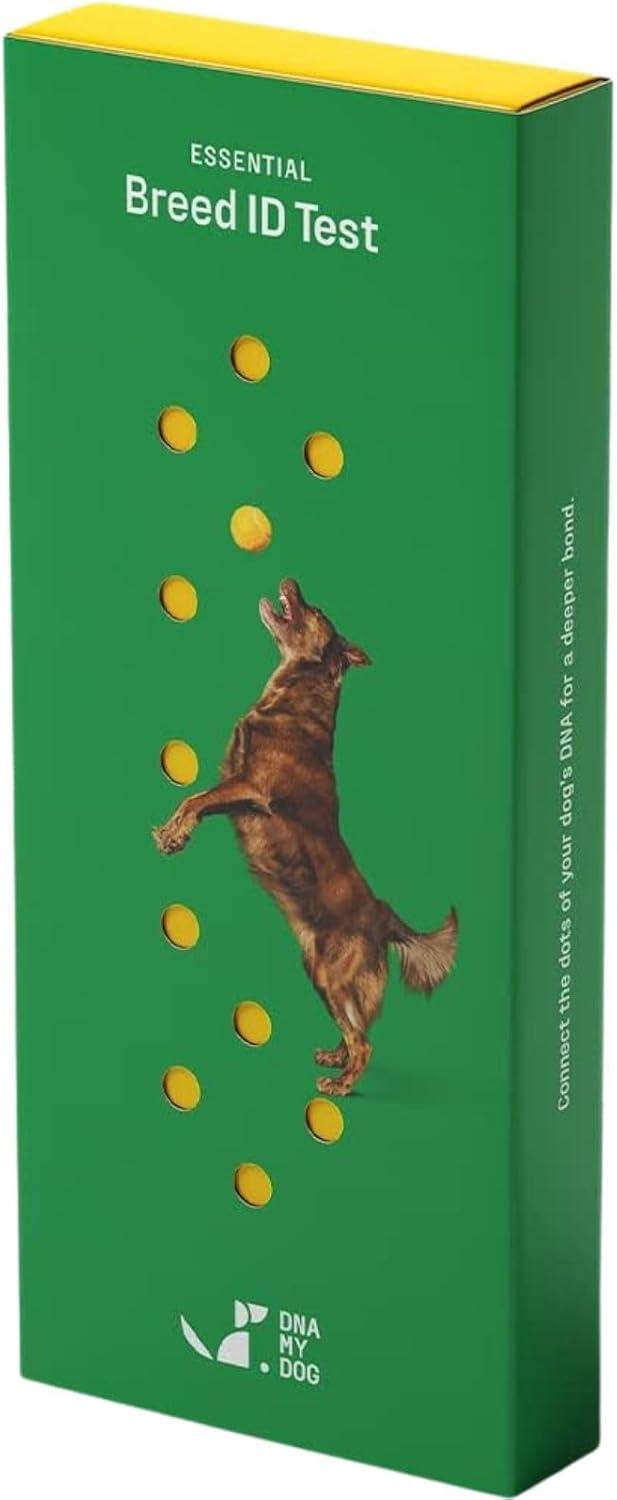 DNA My Dog Tested: Surprising 350+ Breed Insight | Non-Invasive Swab | 2-Week Results | Easy Kit & Cert