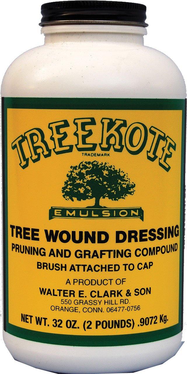 Surprising: Brushtop Design, Healing Paste, Grafting Compound for Tree Care Tested 2024