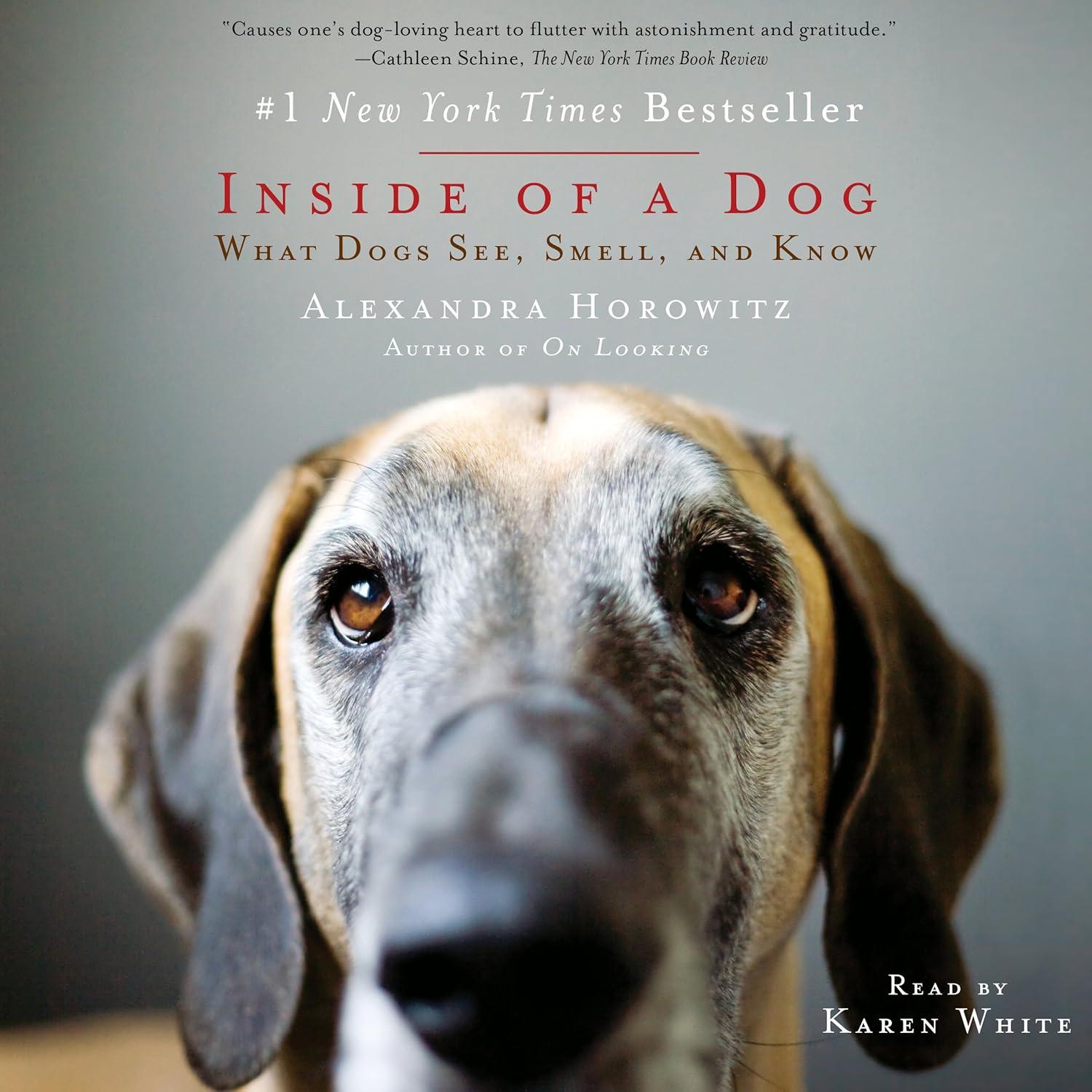 Dogs' Secrets Tested: Insight, Smell Versus Human Insight... Readers Love/values