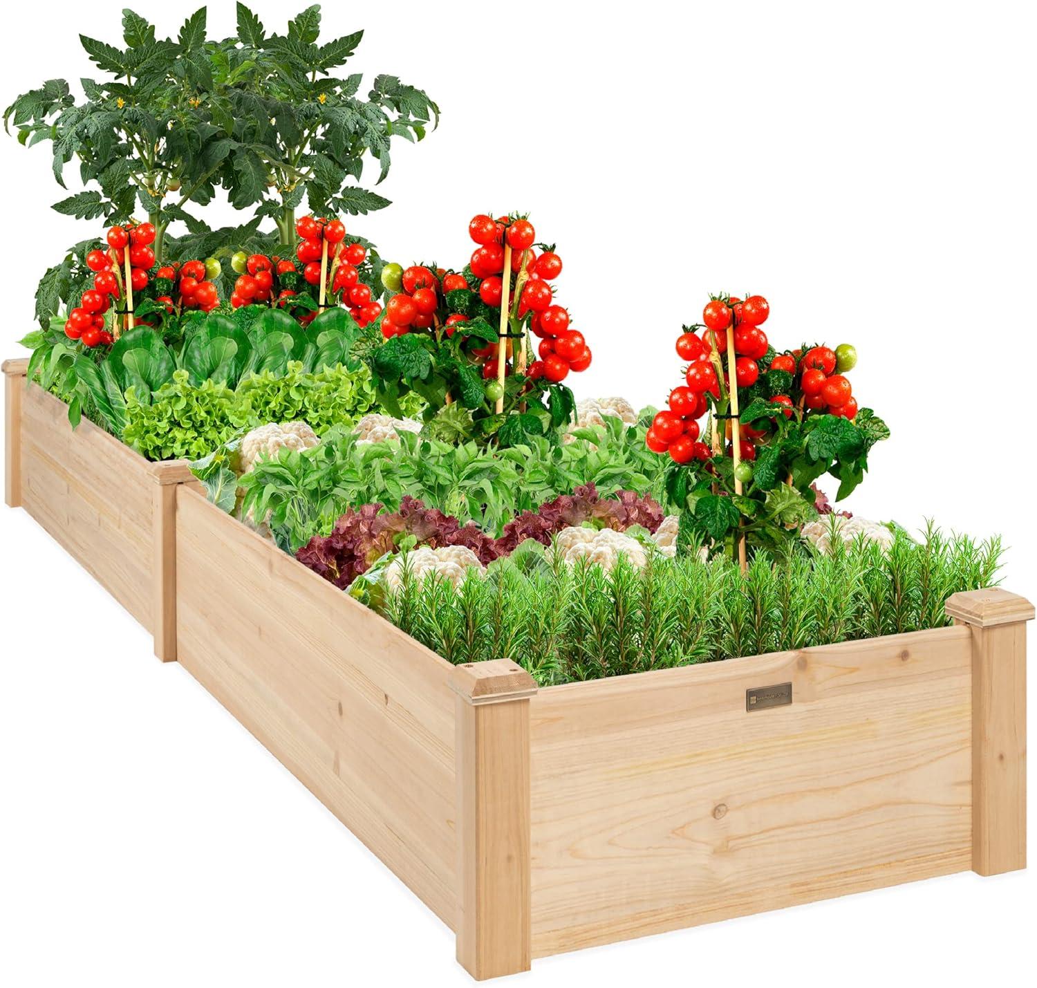 Best Bed Compares Tested Wood, Raised... Grow Green Thriftily!